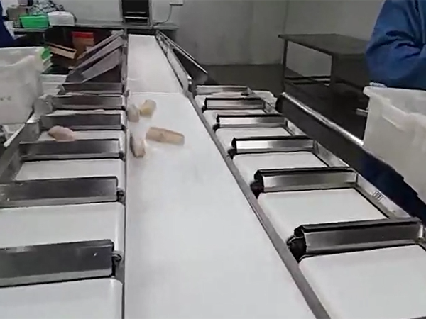 多级重量分选机与机械手组合的设计导向